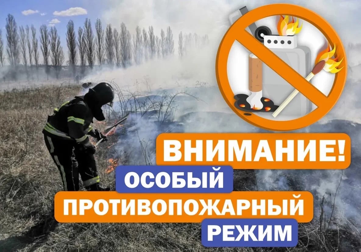 В Томской области объявлено о начале пожароопасного сезона!.